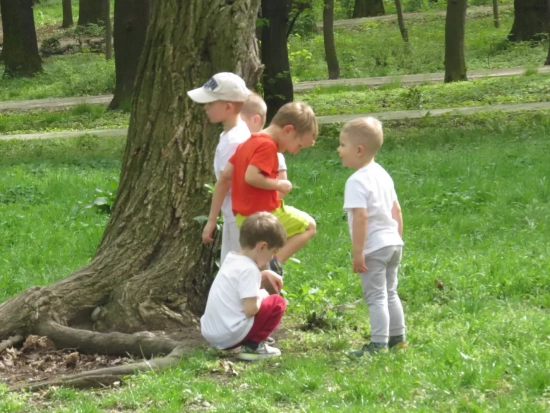 Rybki, Delfinki, Wielorybki i Zerówka; Zajęcia edukacyjne  z PSSE w Świdnicy, IV 2024