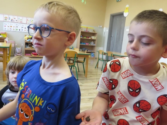 Wielorybki i Zerówka, zdjęcia z zajęć V 2025