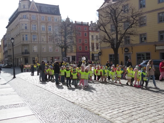 Ośmiorniczki, Zerówka, Żółty Marsz Nadziei, IV 2026