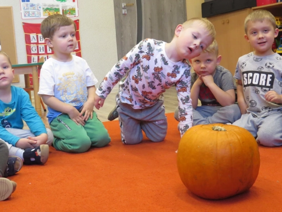 Ośmiorniczki, zajęcia ze specjalistami X 2025