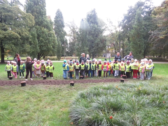 Zerówka, Ośmiorniczki, Akcja Pola Nadziei - DZIAŁAMY SERCEM, X 2025